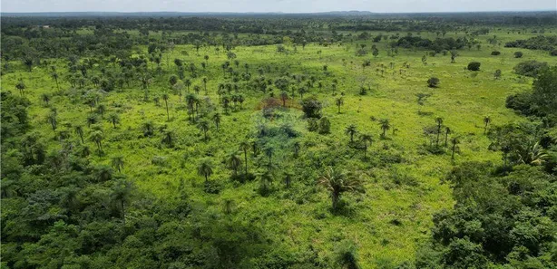 Fazenda/Sítio com 2 Quartos à venda, 339000m² no , Piraquê