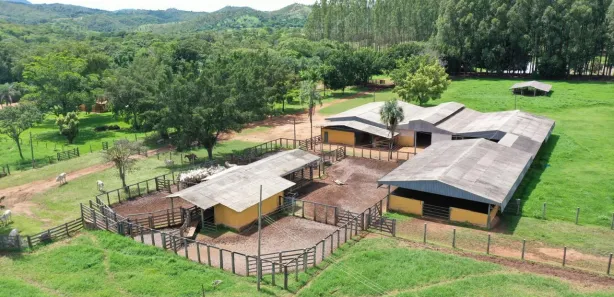 Fazenda/Sítio com 4 Quartos à venda, 6000000m² no , Padre Bernardo