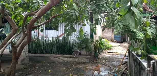 Casa com 5 Quartos à venda, 650m² no Nossa Senhora do O, Ipojuca