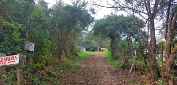 Lote/Terreno à venda, 1456m² no Nossa Senhora do Perpétuo Socorro, Santa Maria