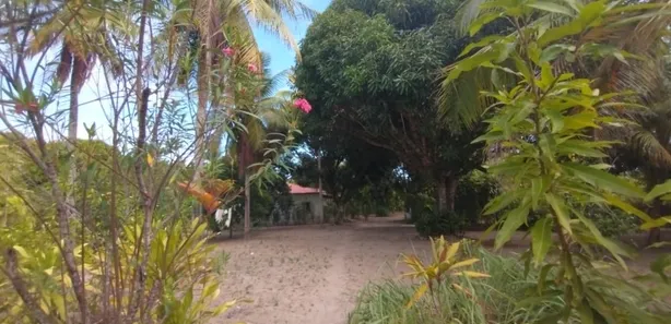 Casa de Condomínio com 6 Quartos à venda, 3000m² no , Vera Cruz