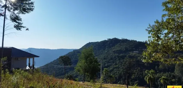 Lote/Terreno à venda, 490m² no , Nova Petrópolis