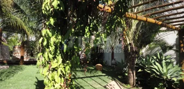 Sobrado com 3 Quartos para alugar, 500m² no Vila Tamoio, Ibaté