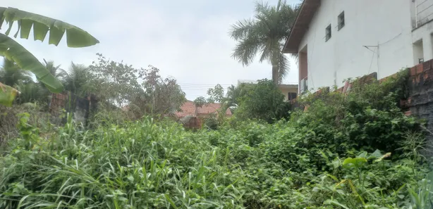 Lote/Terreno à venda, 330m² no Flores, Manaus