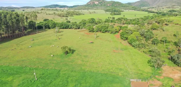 Fazenda/Sítio com 4 Quartos à venda, 6000000m² no , Padre Bernardo