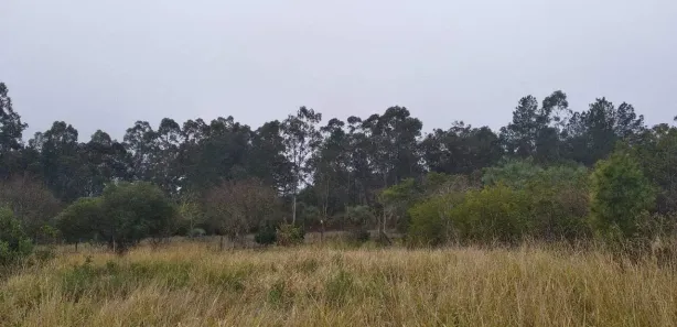Lote/Terreno à venda, 1829m² no Martinica, Viamão
