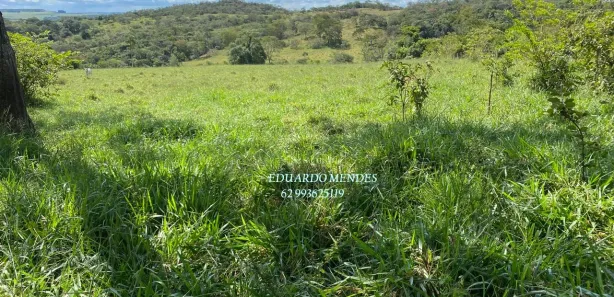 Fazenda/Sítio à venda, 70000m² no , Gameleira de Goiás