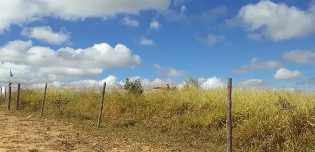 Lote/Terreno à venda, 20000m² no , Paraopeba