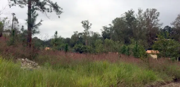 Lote/Terreno para alugar, 1000m² no Ressaca, Itapecerica da Serra