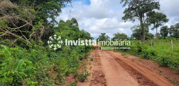 Fazenda/Sítio à venda, 3330m² no Centro, Estreito