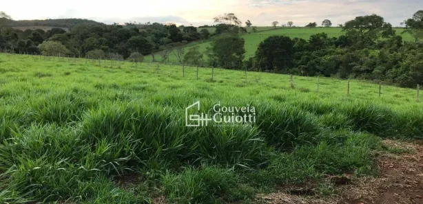 Fazenda/Sítio à venda, 48400m² no , Leopoldo de Bulhões