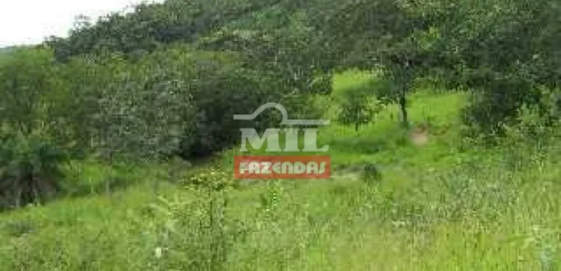 Fazenda/Sítio à venda, 185m² no , Jaraguá
