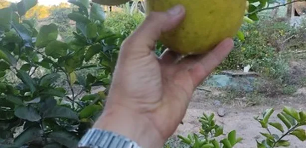 Fazenda/Sítio com 4 Quartos à venda, 62016m² no , Brumadinho