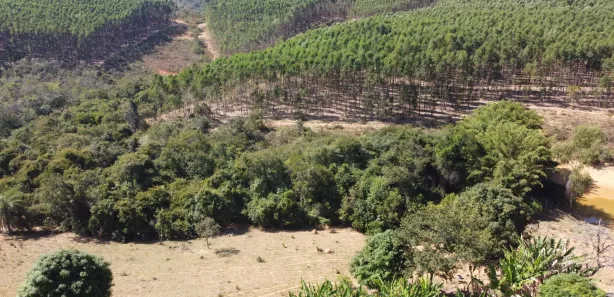 Lote/Terreno à venda, 20000m² no , Cordisburgo