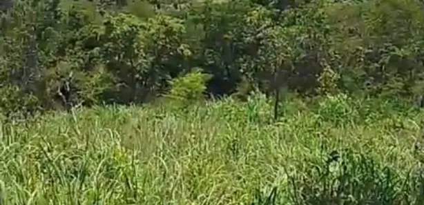 Fazenda/Sítio à venda, 2878m² no Niquelândia, Niquelândia