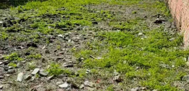 Lote/Terreno à venda, 400m² no Jardim Cunhambebe (Vicente de Carvalho), Guarujá
