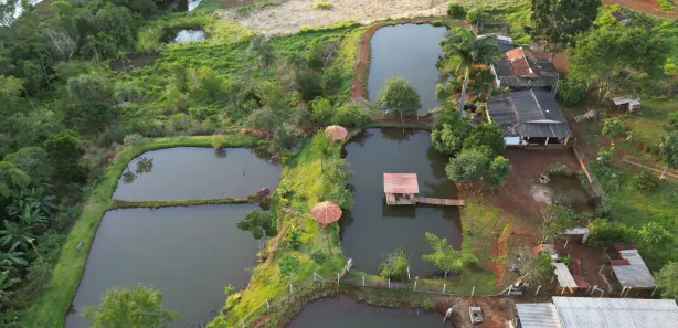 Fazenda/Sítio com 3 Quartos à venda, 180m² no , Bonfinópolis
