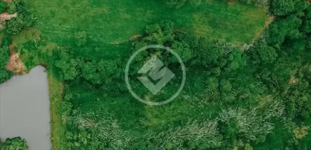 Fazenda/Sítio à venda, 53m² no , Nerópolis