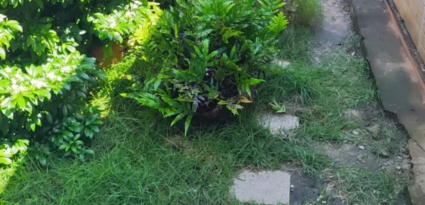Casa com 2 Quartos à venda, 100m² no Poço, Maceió