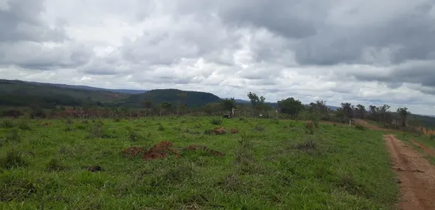 Lote/Terreno à venda, 20000m² no , Cordisburgo