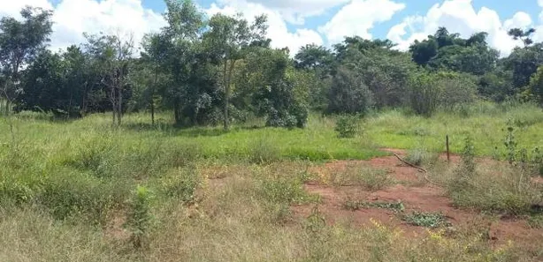 Fazenda/Sítio à venda, 2000m² no Setor Central, Terezópolis de Goiás