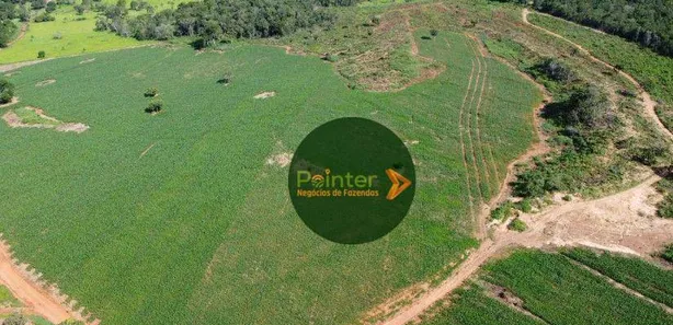 Fazenda/Sítio à venda, 1113200m² no , Jaraguá