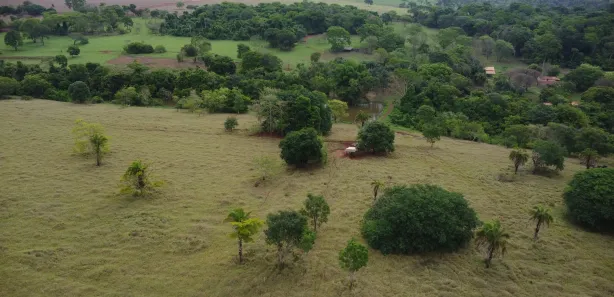 Fazenda/Sítio à venda, 480000m² no Área Rural, Goianira