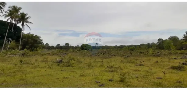 Fazenda/Sítio à venda, 1400000m² no Centro, Caravelas