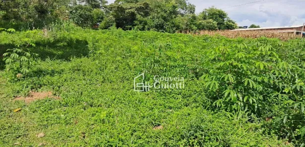 Fazenda/Sítio com 2 Quartos à venda, 50m² no , Leopoldo de Bulhões