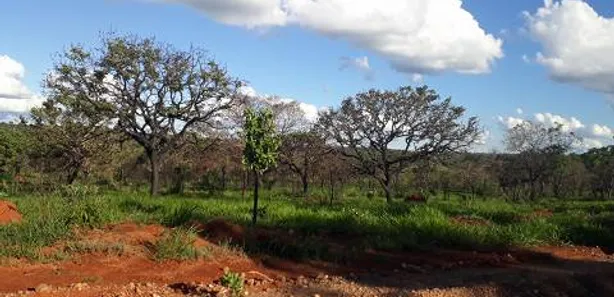 Lote/Terreno à venda, 20000m² no , Araçaí