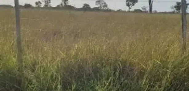 Fazenda/Sítio à venda, 2129600m² no , Jaraguá