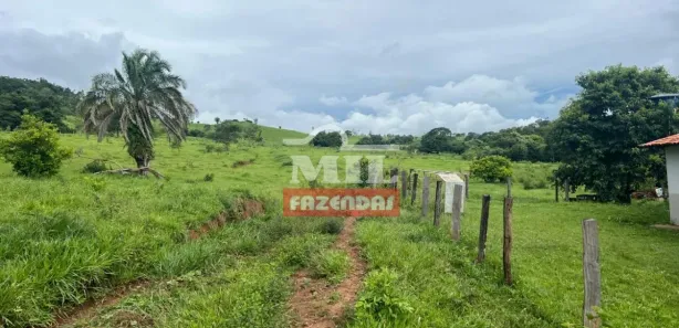 Fazenda/Sítio à venda, 14520000m² no Vila Mutirão, Inhumas