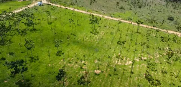 Lote/Terreno à venda, 20000m² no Zona Rural, Paraopeba