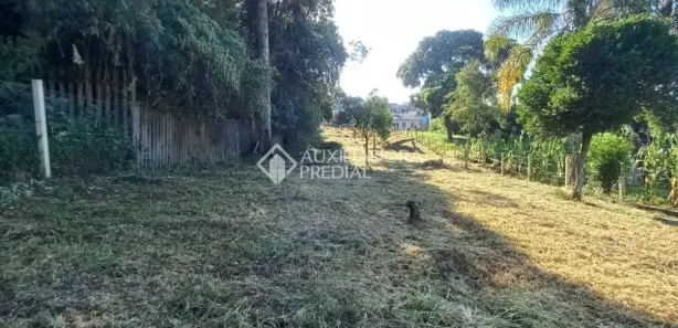 Lote/Terreno à venda, 999m² no Bela Vista, Caxias do Sul