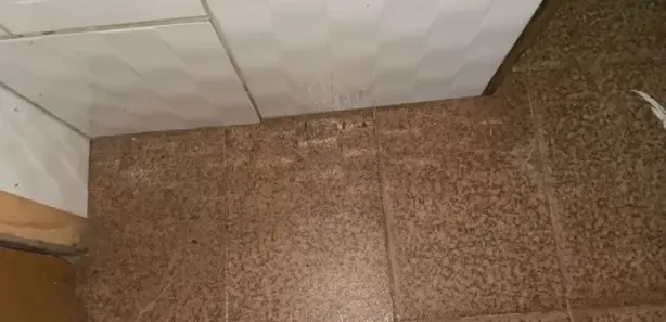 Fazenda/Sítio com 2 Quartos à venda, 90m² no , Caraá