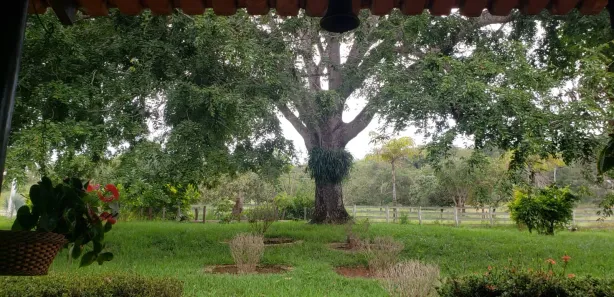 Fazenda/Sítio à venda, 690m² no , Padre Bernardo