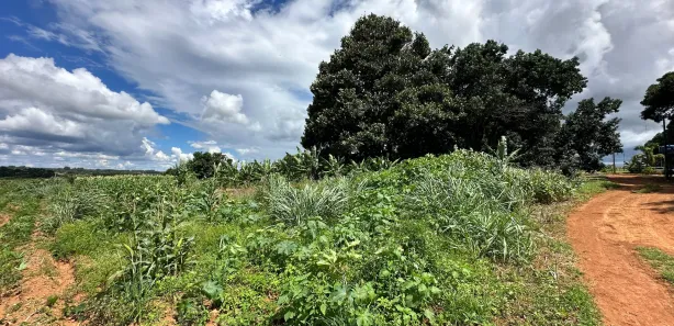 Fazenda/Sítio com 3 Quartos à venda, 33403m² no Área Rural de Brazlândia, Brasília