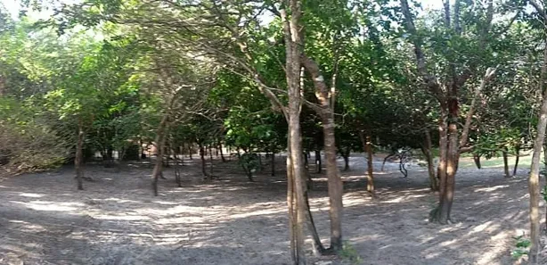 Fazenda/Sítio com 5 Quartos à venda, 12500m² no , Humberto de Campos