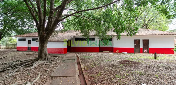 Galpão/Depósito/Armazém com 5 Quartos para alugar, 2845m² no Paiçandu, Paiçandu