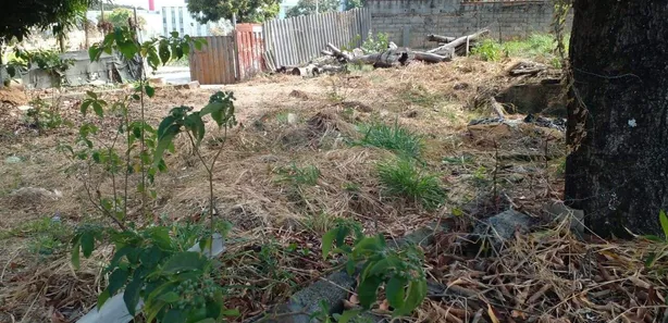 Lote/Terreno para alugar, 994m² no Indaiá, Belo Horizonte