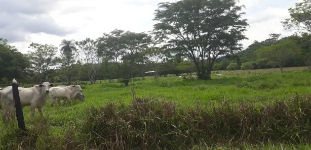 Lote/Terreno à venda, 20000m² no , Araçaí