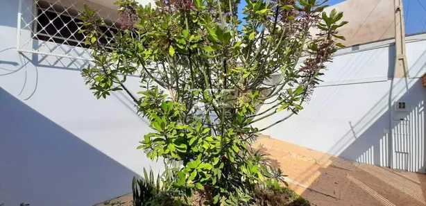 Casa com 3 Quartos à venda, 151m² no Jardim Donângela, Rio Claro