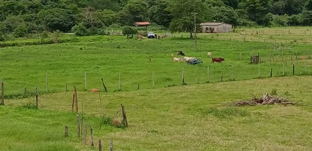 Fazenda/Sítio à venda, 28m² no Brazlândia, Brasília