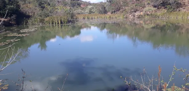 Lote/Terreno à venda, 20000m² no , Araçaí