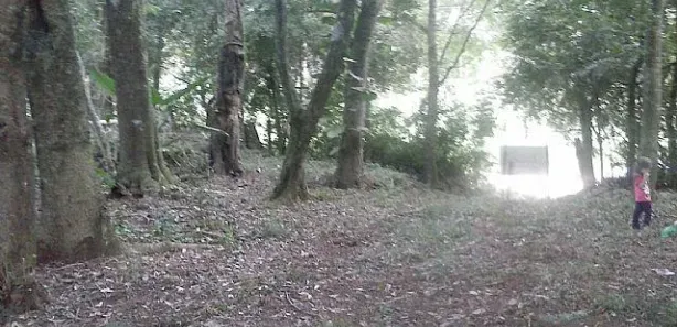 Lote/Terreno à venda, 1000m² no Caju, Nova Santa Rita