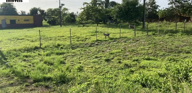 Lote/Terreno à venda, 10m² no Localizado às margens da BR 135., Itapecuru Mirim