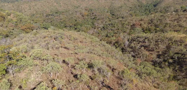 Fazenda/Sítio à venda, 20000m² no , Brasília