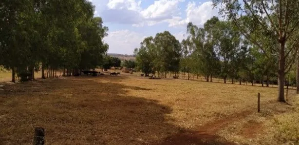 Fazenda/Sítio à venda, 1403600m² no , Itaberaí
