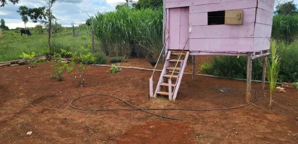 Fazenda/Sítio com 3 Quartos à venda, 400m² no Distrito Agroindustrial de Anápolis, Anápolis