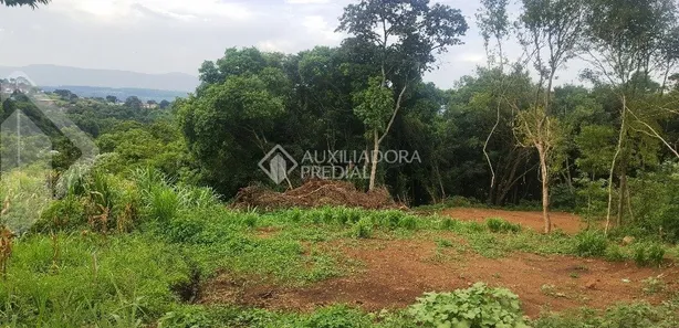 Lote/Terreno à venda, 600m² no Travessão, Dois Irmãos
